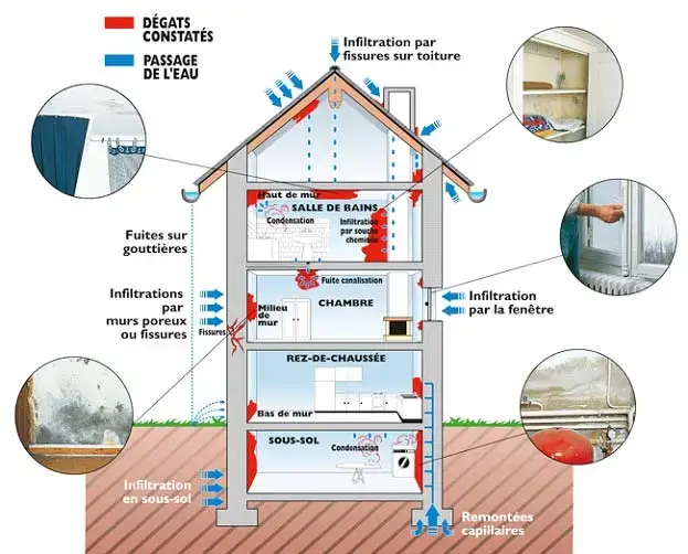 Schéma infiltrations d'eau dans une maison et conséquences